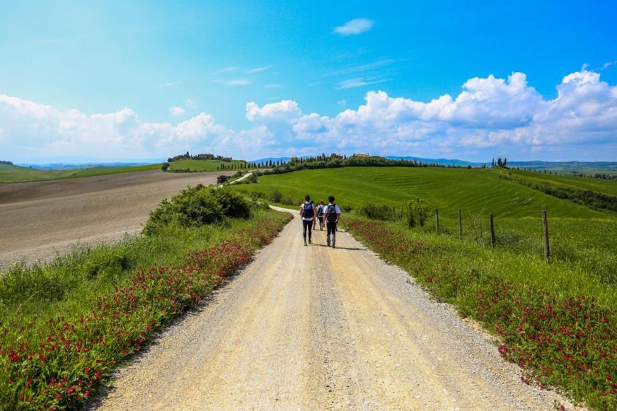 Podere Il Granaio - Crete Senesi - Tuscany Siena Exteriör bild